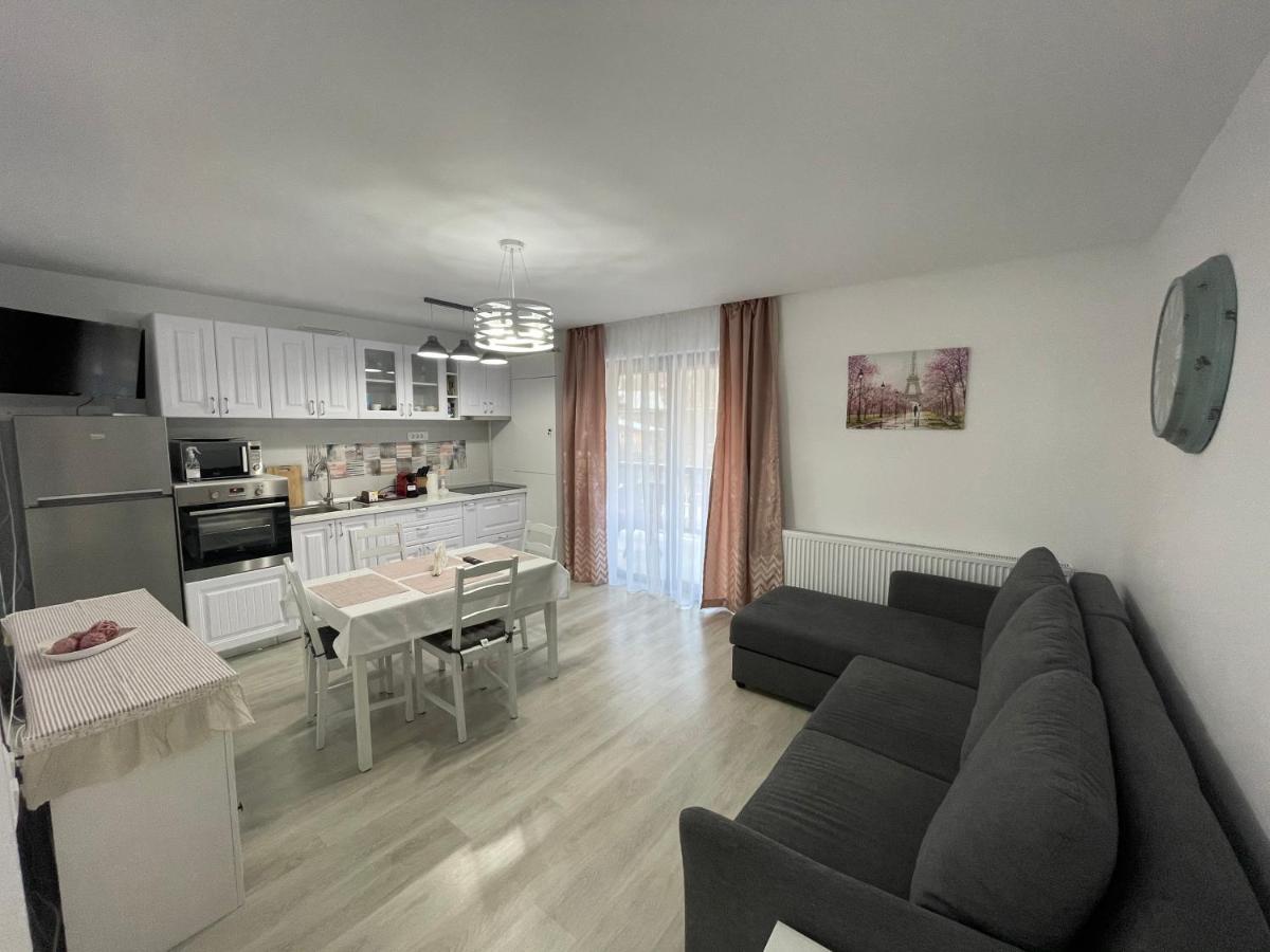 Castle Residence Apt. Eminescu Buşteni 外观 照片