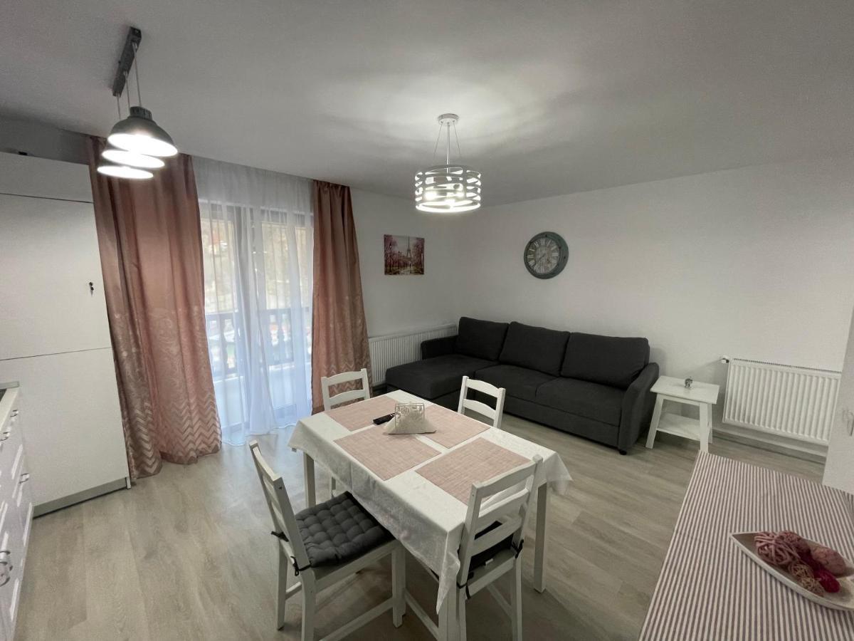Castle Residence Apt. Eminescu Buşteni 外观 照片