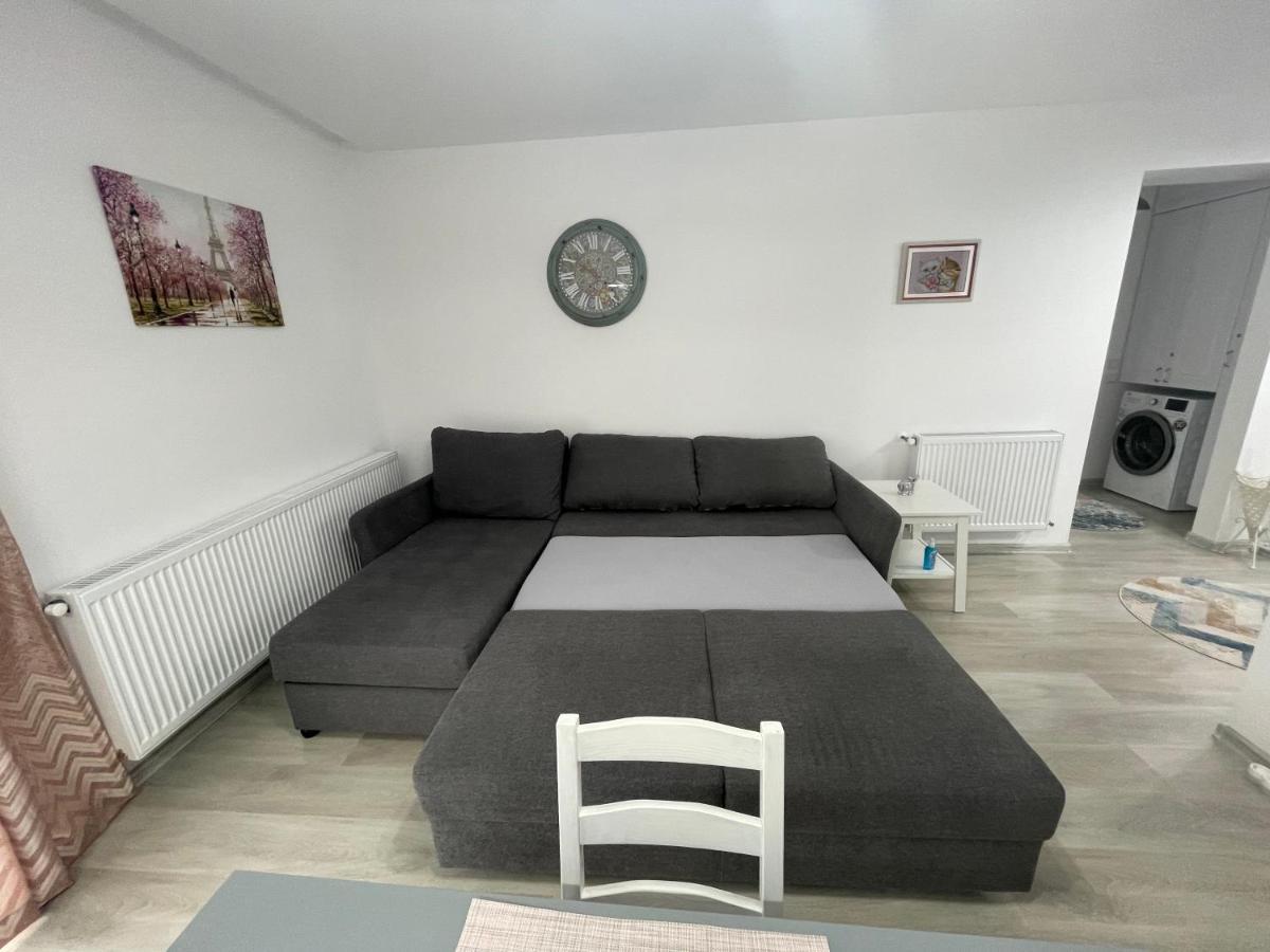 Castle Residence Apt. Eminescu Buşteni 外观 照片