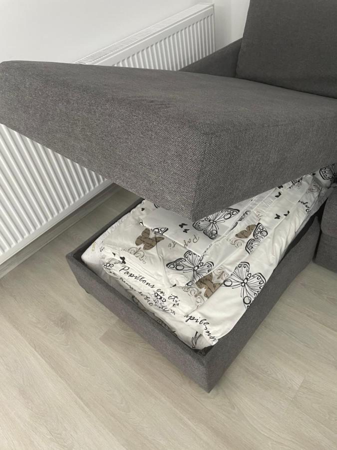 Castle Residence Apt. Eminescu Buşteni 外观 照片